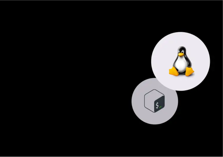 Course card linux shell scripting