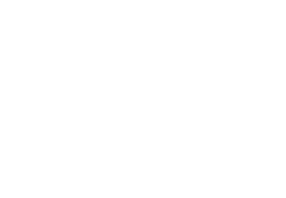 Cyber Scheme Certified Tester