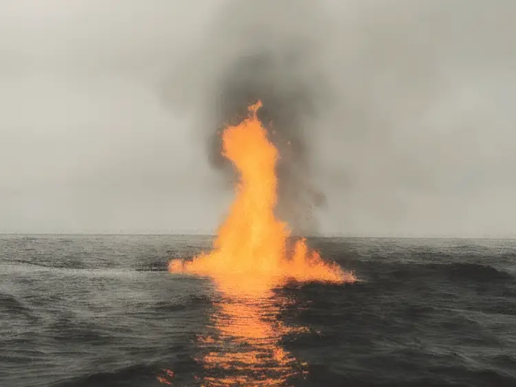 When the algorithm gets it wrong